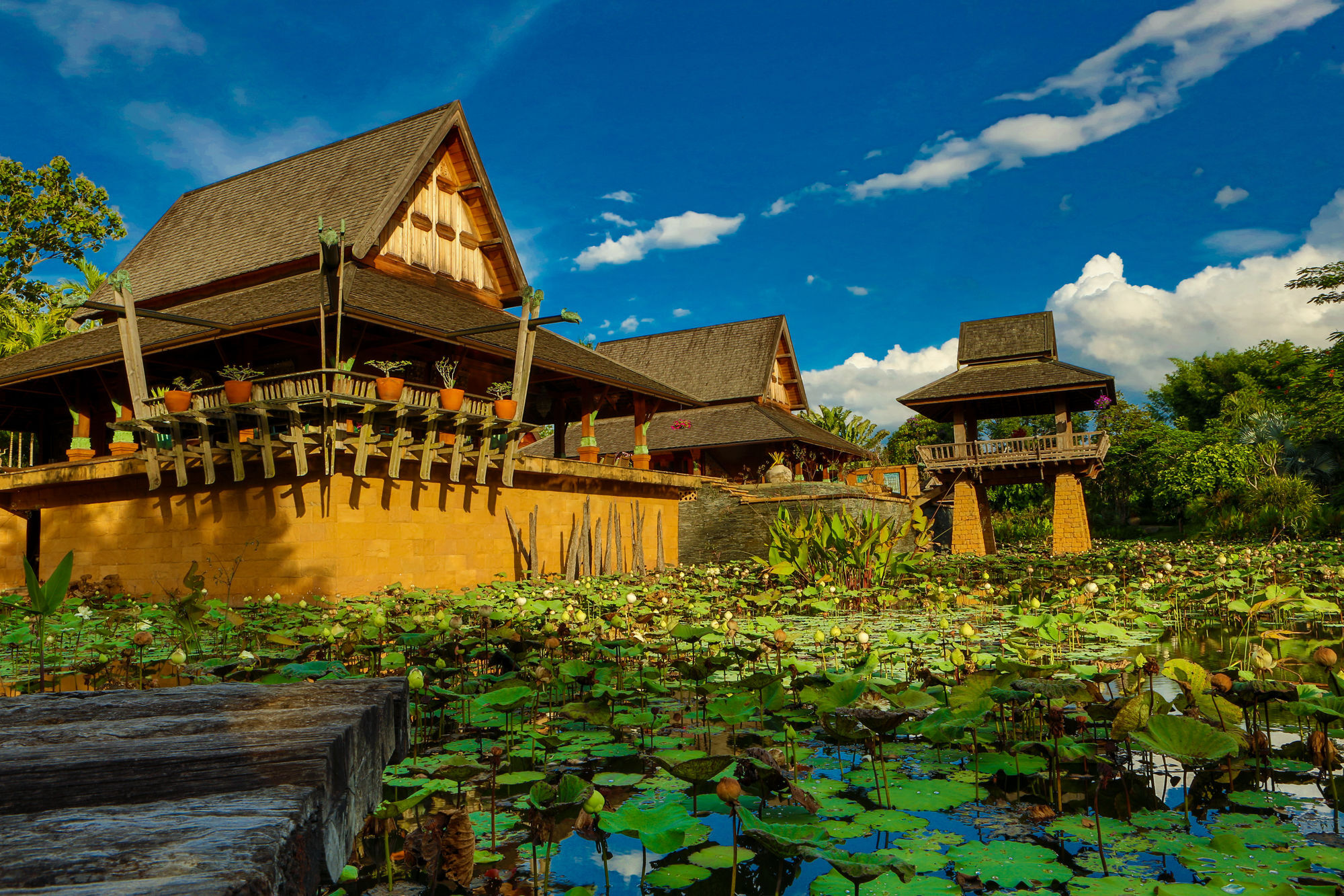 Howie'S Homestay Mae Rim Exteriör bild